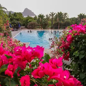 Bed & Breakfast Cala Dell'arena
